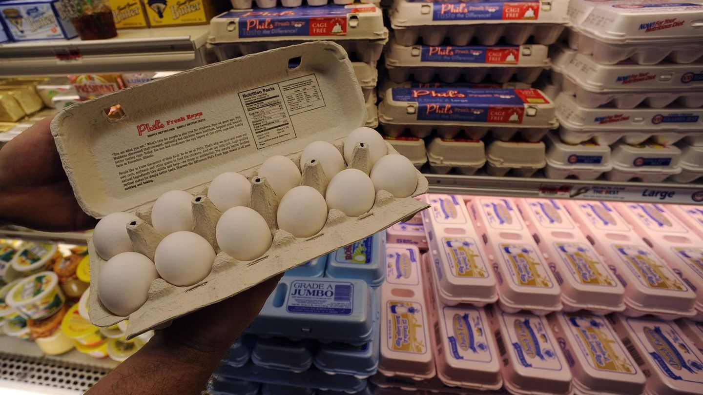 Eier