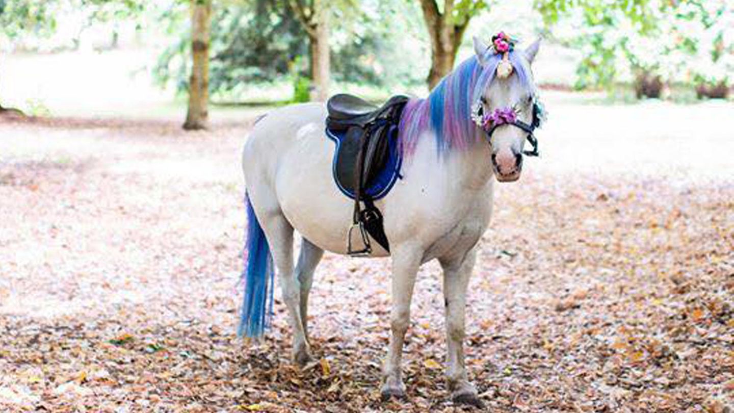Ein fast echtes "Einhorn" im englischen Gartenpark "Arley Arboretum"