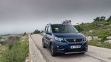 Peugeot Rifter Puretech 110