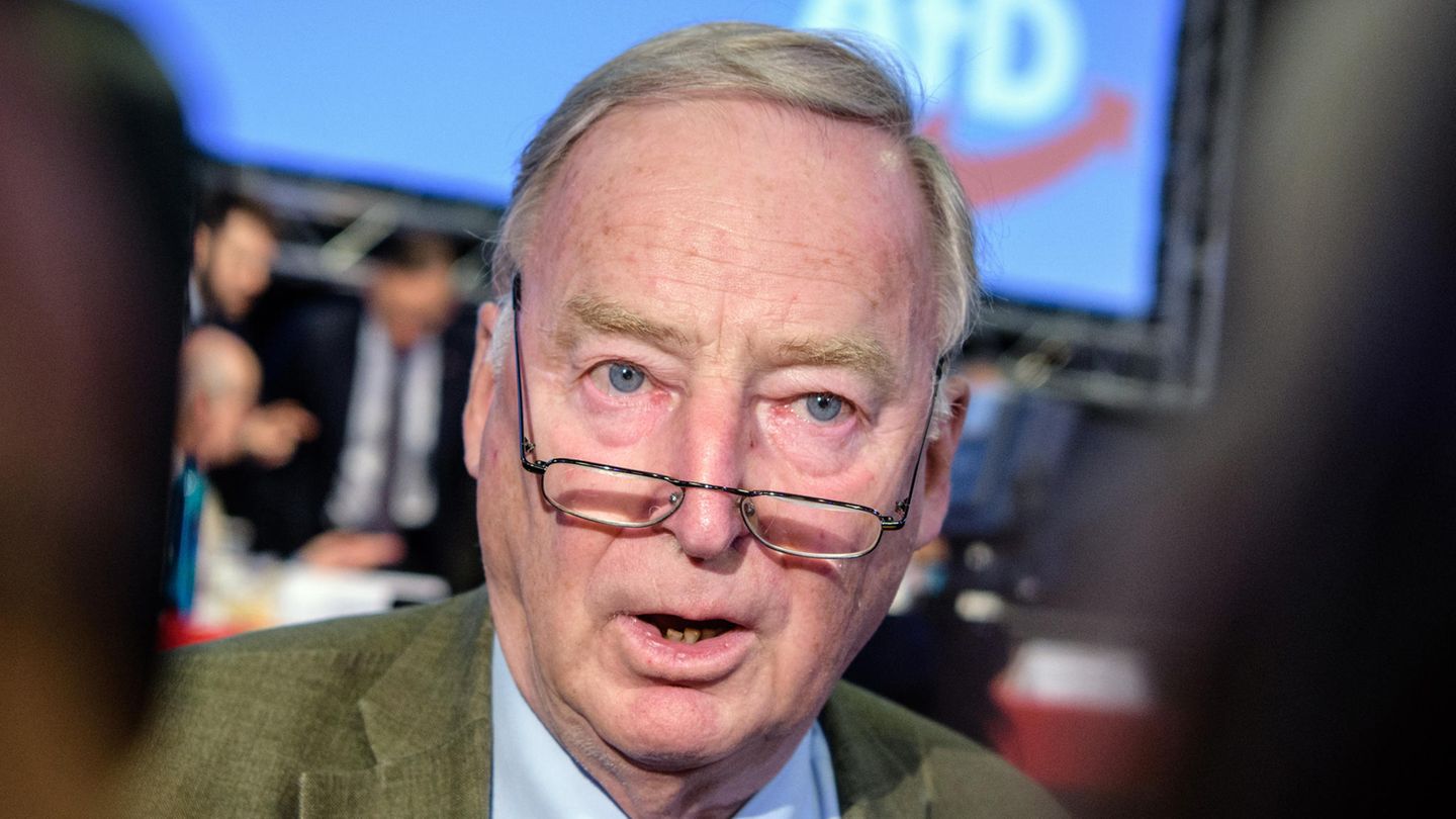 Der AfD-Vorsitzende Alexander Gauland