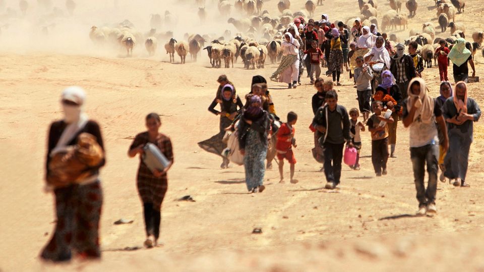 Die Geschichte von Aschaq Taalo: Jesiden fliehen im August 2014 vor den vorrückenden IS-Terroristen Jesiden fliehen im August 2014 vor den vorrückenden IS-Terroristen