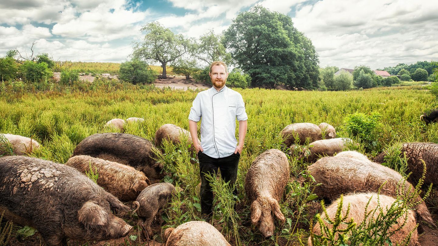 "New German Cuisine": Felix Schneider, Sosein Das in der Provinz gelegene "Sosein", das der 33-jährige Küchenchef Felix Schneider als "Projekt zur Selbstfindung der deutschen Küche" bezeichnet, war von Anfang an gut besucht. "Wir sind einfach ein Stück eigenständiger als die Generation vor uns", sagt Schneider über sich und seine Kollegen. Felix Schneider, Sosein Das in der Provinz gelegene "Sosein", das der 33-jährige Küchenchef Felix Schneider als "Projekt zur Selbstfindung der deutschen Küche" bezeichnet, war von Anfang an gut besucht. "Wir sind einfach ein Stück eigenständiger als die Generation vor uns", sagt Schneider über sich und seine Kollegen.