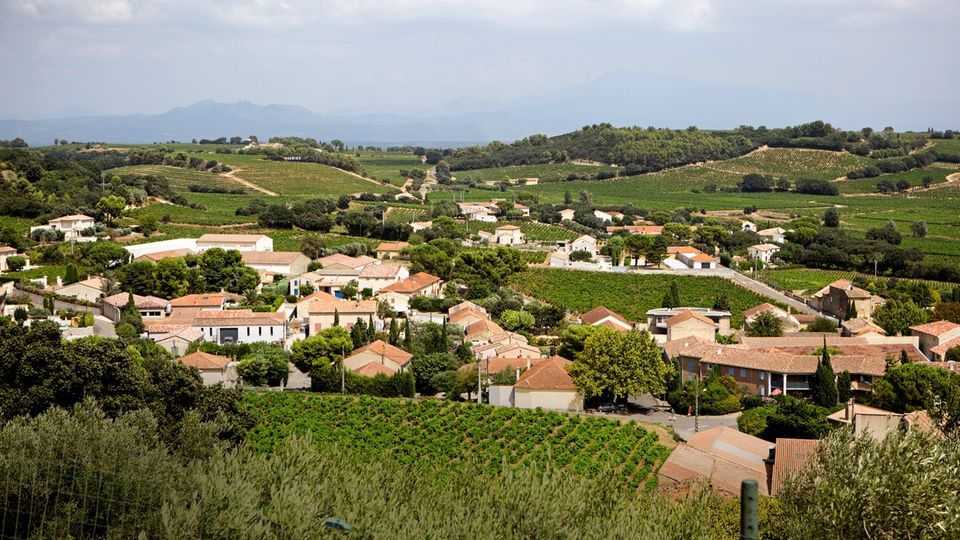 Neue Ideen bei Trockenheit: Die Ausläufer von Châteauneuf-duPape in der Nähe von Avignon. Seit dem 14. Jahrhundert wird hier Wein angebaut Die Ausläufer von Châteauneuf-duPape in der Nähe von Avignon. Seit dem 14. Jahrhundert wird hier Wein angebaut