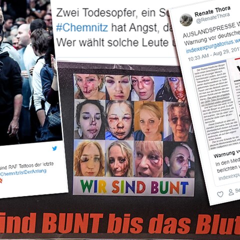 Fake News Combo