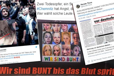 Fake News Combo