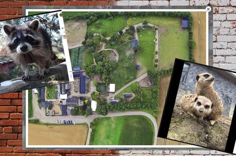 Munkholm Zoo
