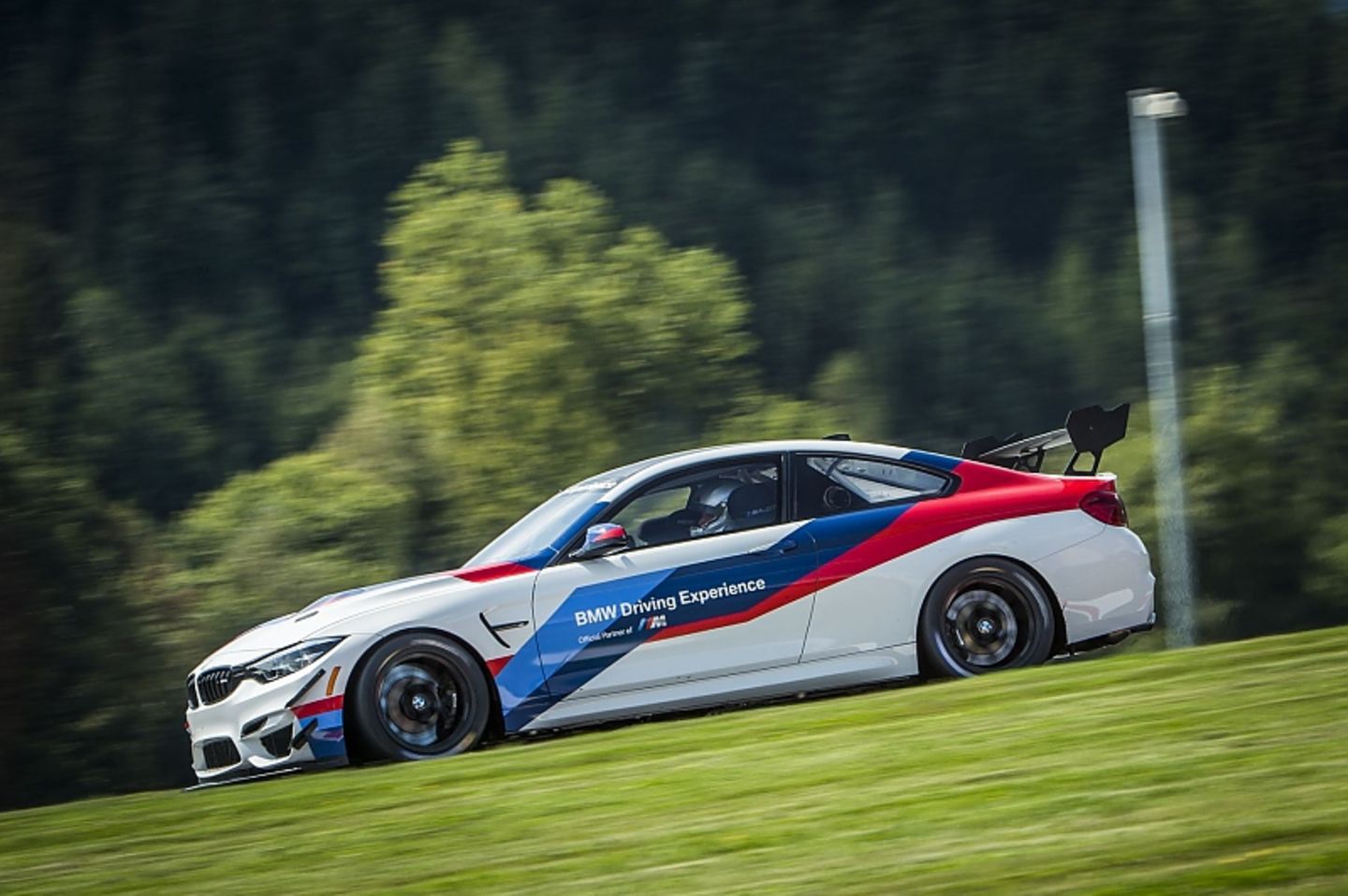 Die Slicks krallen sich in den Asphalt