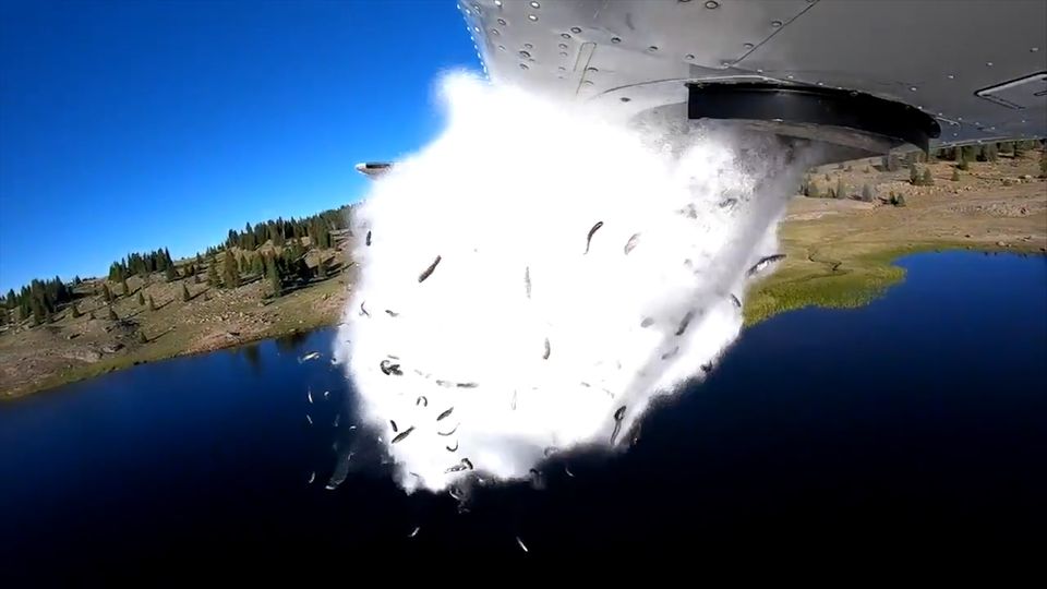 Spektakuläre Aufnahmen: Hier regnet es Fische vom Himmel - der Grund macht fassungslos Spektakuläre Aufnahmen: Hier regnet es Fische vom Himmel - der Grund macht fassungslos