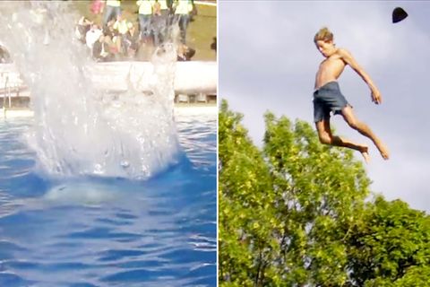 Beim "Death Diving" springen Sportler aus zehn Metern ins Wasser
