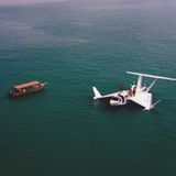 Der umgekehrte Pfeilflügler kann auch raue See überqueren.