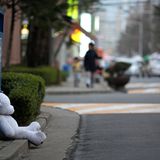 5. Wenn Kuscheltiere nicht nach Hause wollen  Die Erkenntnis ist für Familien häufig ein Schock: Der Lieblingsteddy ist nicht mit an Bord! Manche Familien können noch rechtzeitig umdrehen, um das weinende Kind zu beruhigen. Anderen hingegen bleibt keine Wahl, als auf die Post und das Paket des Hotels zu warten.