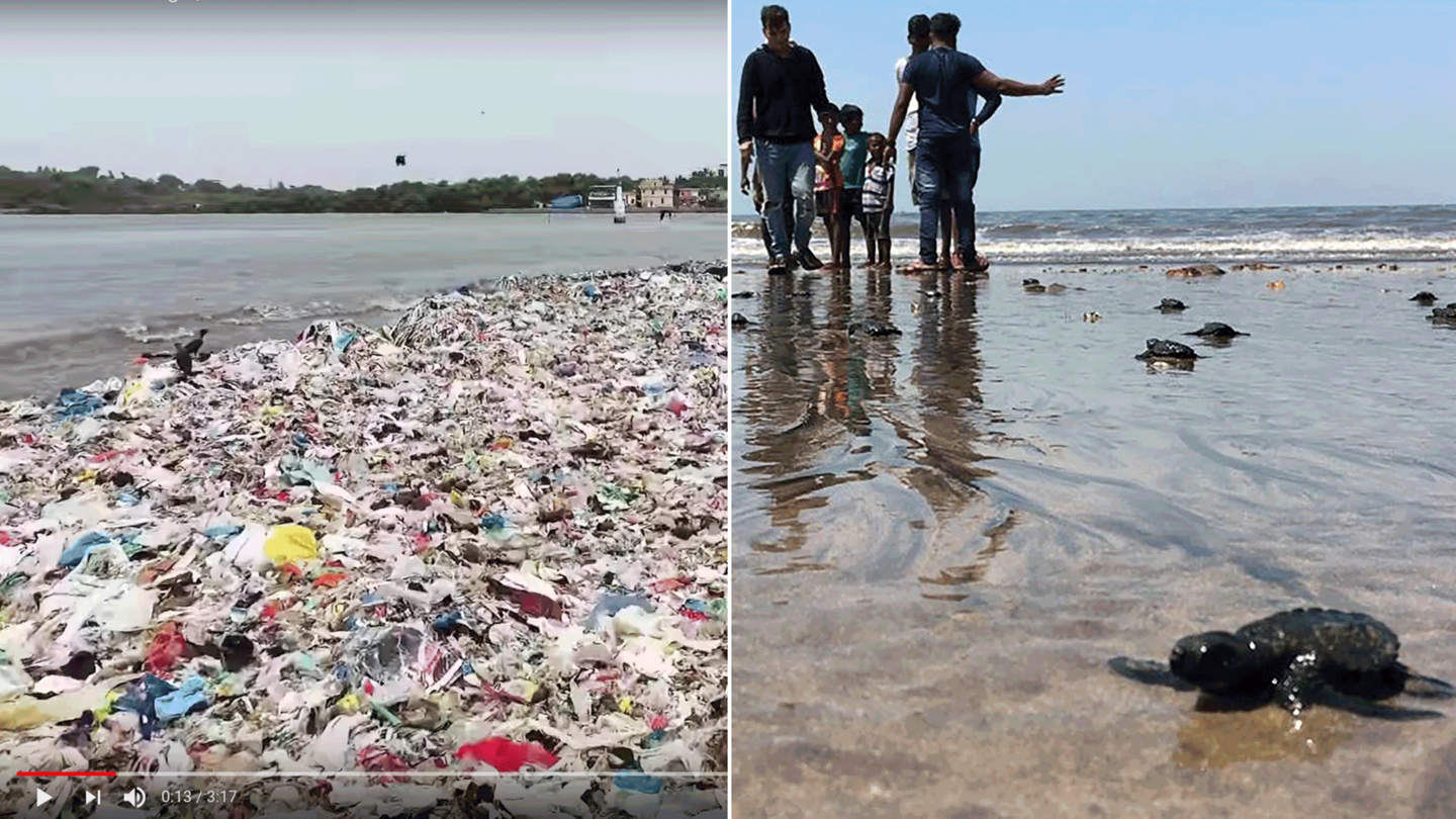 Links der Versova-Strand von Mumbai in 2015. Rechts der aufgeräumte Strand mit Baby-Schildkröten in 2018.
