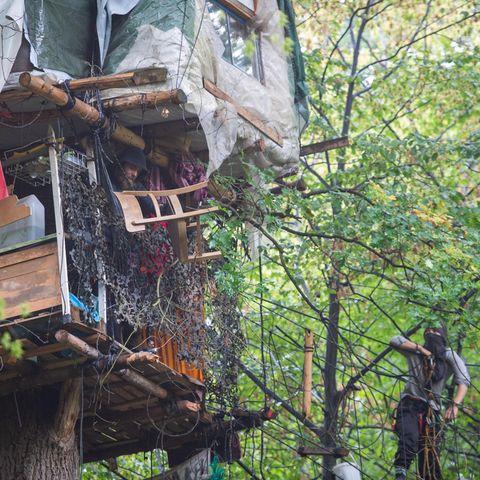 Baumhaus im Wald