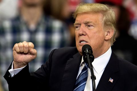 US-Präsident Donald Trump reagierte wütend auf den anonymen Gastbeitrag über ihn in der "New York Times"