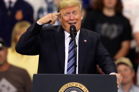 Donald Trump in Montana