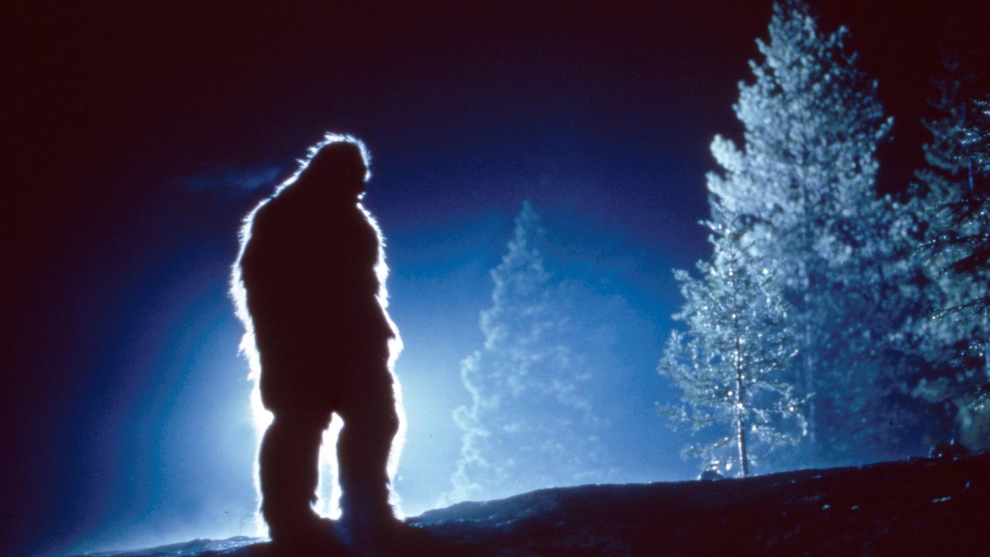 Bigfoot kommt in zahlreichen Filmen und Serien vor, wie hier 1994 in "Bigfoot: The Unforgettable Encounter"