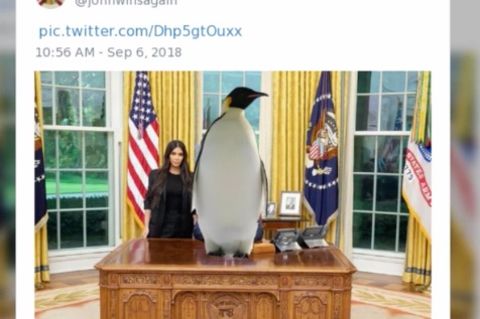 Satire: Trump oder Pinguin? Für Twitternutzer ergibt beides Sinn