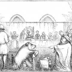 Meist wurden Schweine wegen Mord angeklagt.