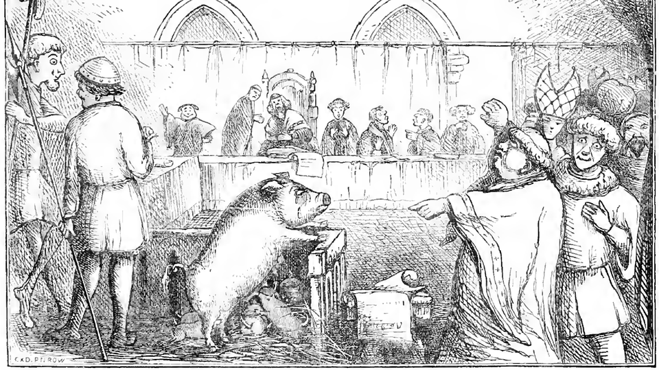 Meist wurden Schweine wegen Mord angeklagt.