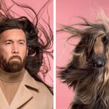 Memory-Spiel für Hundefans: "Do you look like your dog?"