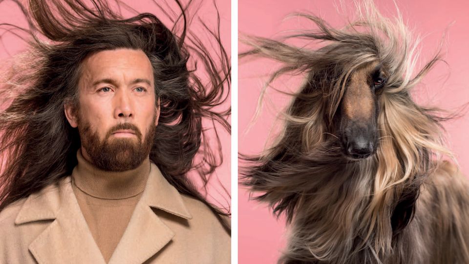 Memory-Spiel für Hundefans: "Do you look like your dog?"