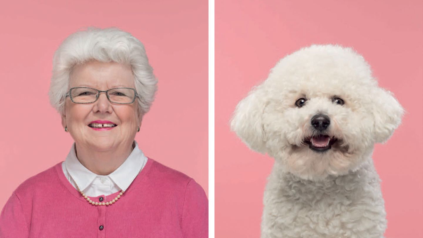 Memory-Spiel für Hundefans: "Do you look like your dog?"