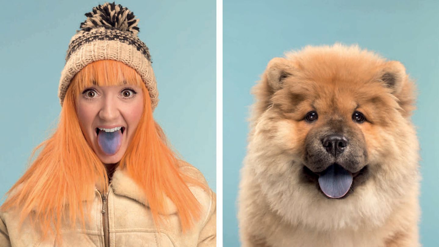 Memory-Spiel für Hundefans: "Do you look like your dog?"