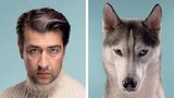 Memory-Spiel für Hundefans: "Do you look like your dog?"