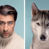 Memory-Spiel für Hundefans: "Do you look like your dog?"