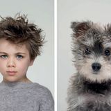 Memory-Spiel für Hundefans: "Do you look like your dog?"