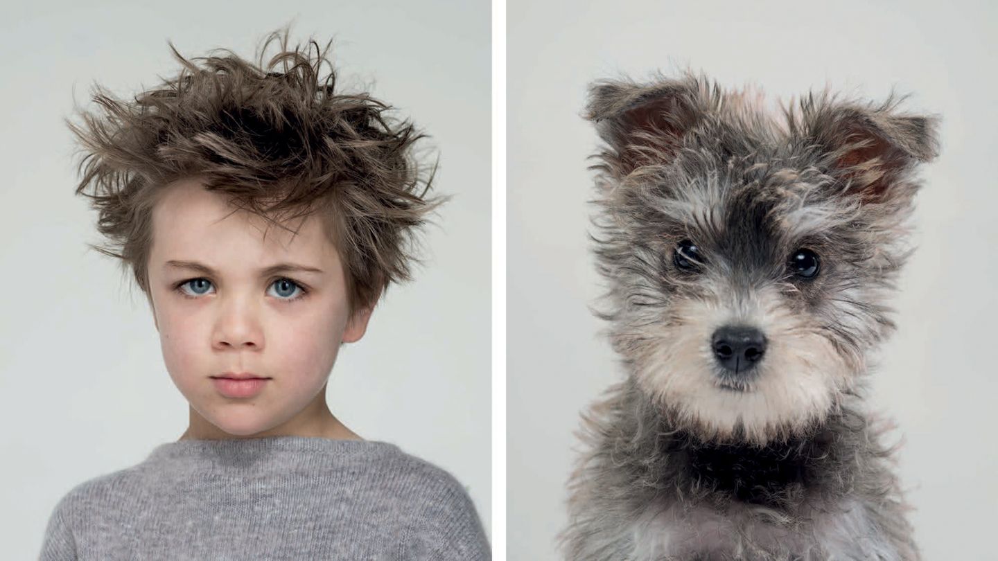 Memory-Spiel für Hundefans: "Do you look like your dog?"