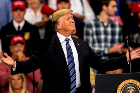 Donald Trump mit Karohemd-Typ