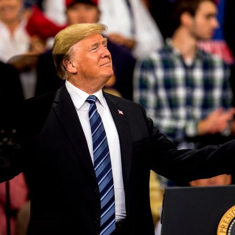 Donald Trump mit Karohemd-Typ