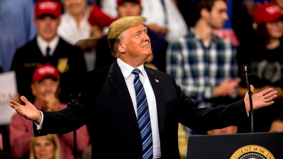 Donald Trump mit Karohemd-Typ