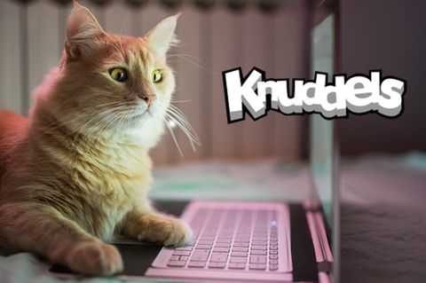 Knuddels.de wurde von Hackern angegriffen