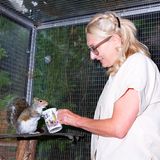Natalia betreibt mit ihrem Sohn eine Pflegestation für Eichhörnchen. Ihre Nager füttert sie stilecht aus der Big-Ben-Touri-Tasse.