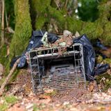 Ein Erfolg für die Jäger, wie Trevor betont. Weil sie schon so viele Tiere ausgemerzt haben.