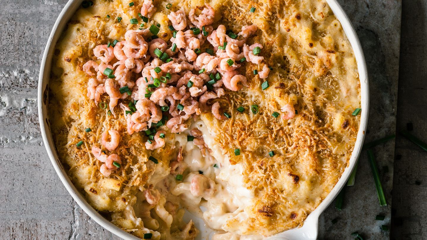 Hörnchennudeln mit satter Käse-Bechamél und Nordseekrabben, kurz gratiniert