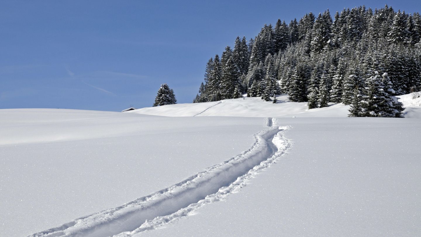 Langläuferparadies im Tannheimer Tal in Tirol Langläuferparadies im Tannheimer Tal in Tirol