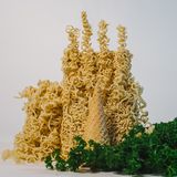 Neues Buch "Bauschmaus"