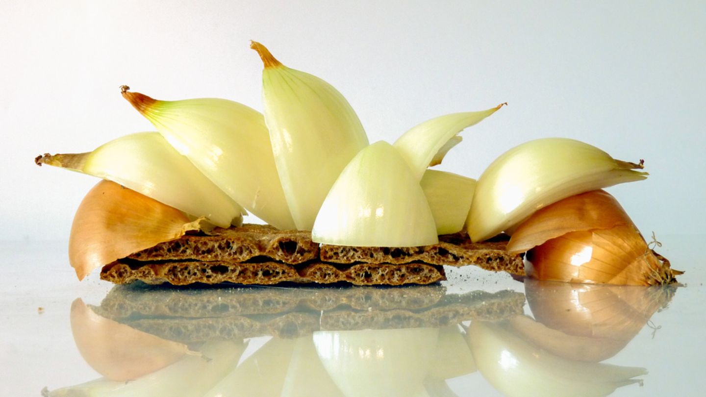 Neues Buch "Bauschmaus"