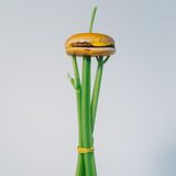 Neues Buch "Bauschmaus"