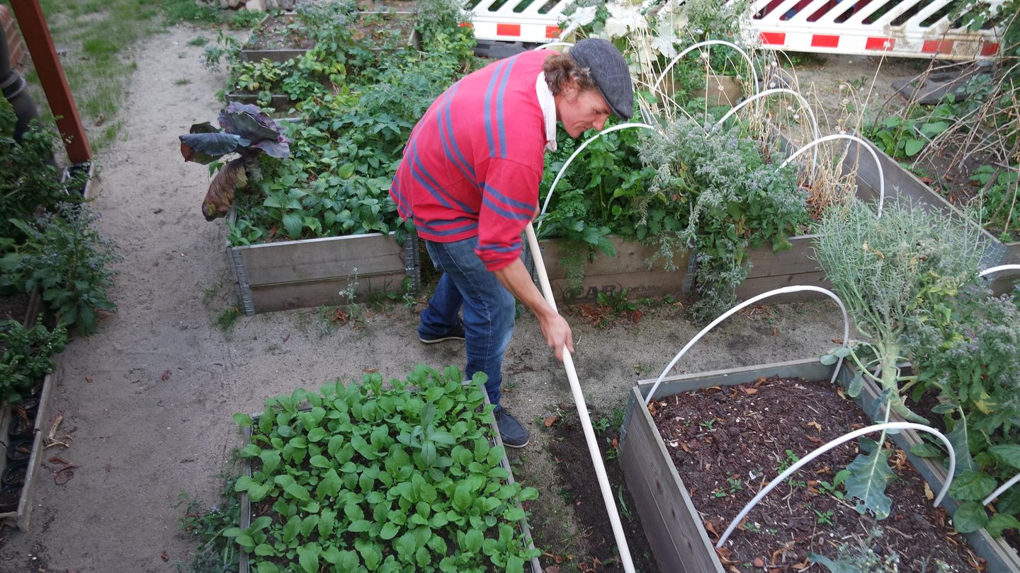 Ruwi Gartenharke