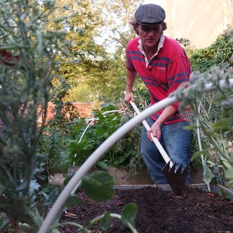 Ruwi Gartenharke