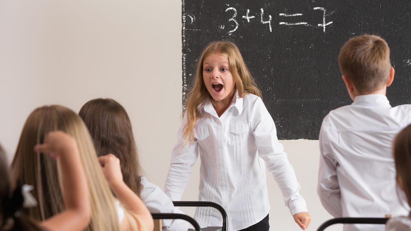 Schleswig-Holstein: Klassensprecher sollen bei schlechten Noten mitreden dürfen – schon formiert sich Widerstand