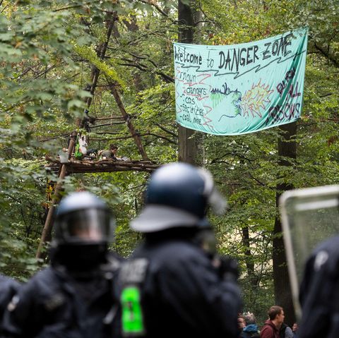 Hambacher Forst: Polizei beginnt mit Räumung - Aktivisten kündigen Widerstand an