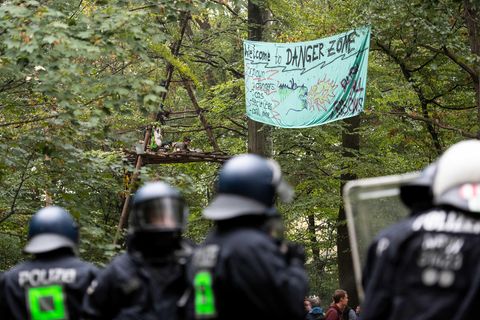 Hambacher Forst: Polizei beginnt mit Räumung - Aktivisten kündigen Widerstand an