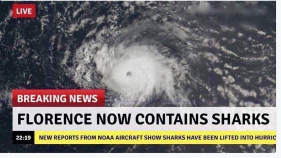 Fake in Sozialen Netzwerken: Haie im Sturm? Twitternutzer scherzen über Florence