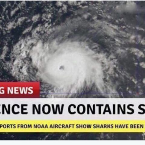 Fake in Sozialen Netzwerken: Haie im Sturm? Twitternutzer scherzen über Florence
