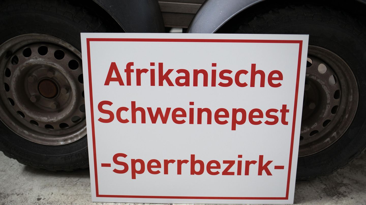 Afrikanische Schweinepest (Schild)